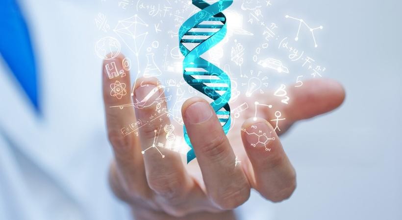 Fundamentos da Bioética