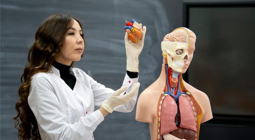 Anatomia Humana e implicações na aprendizagem (em Libras)