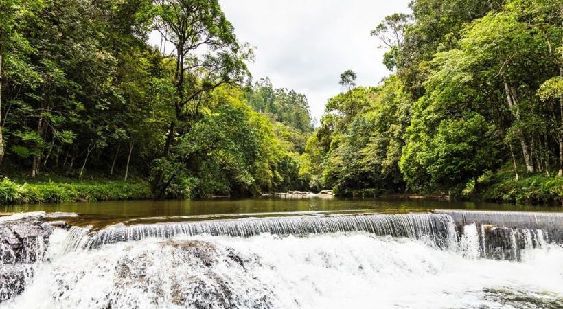 Ecologia, Ciências e Educação Ambiental