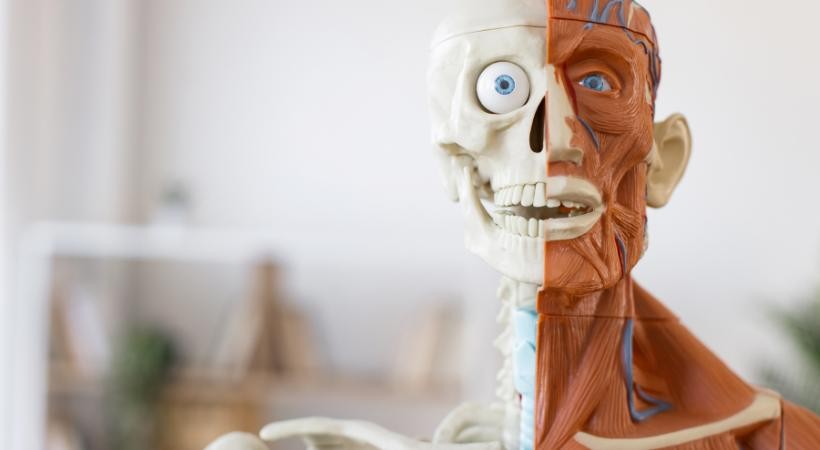 Atendimento à Vítima de Intercorrências Músculo Esquelético