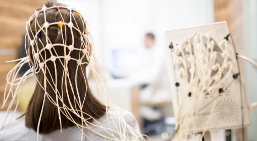 Bases morfológicas e funcionais do sistema nervoso