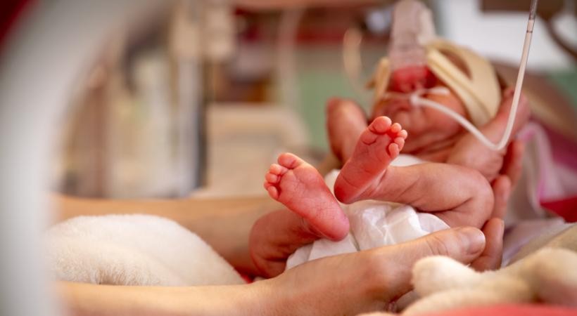 Assistência fisioterapêutica humanizada em Terapia intensiva Neonatal e Pediátrica