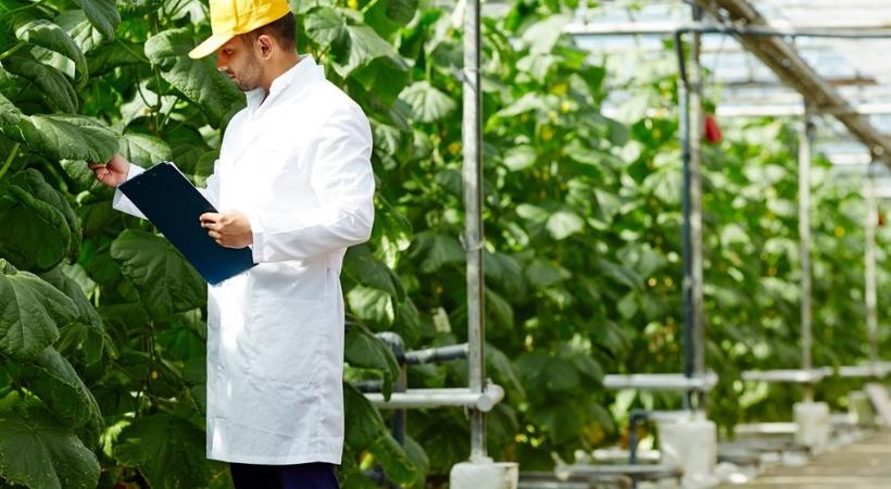Tecnologias e Cadeias Agroindustriais